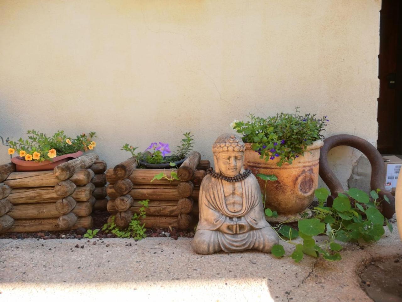 Red Sea Garden Apartment Eilat Exterior foto